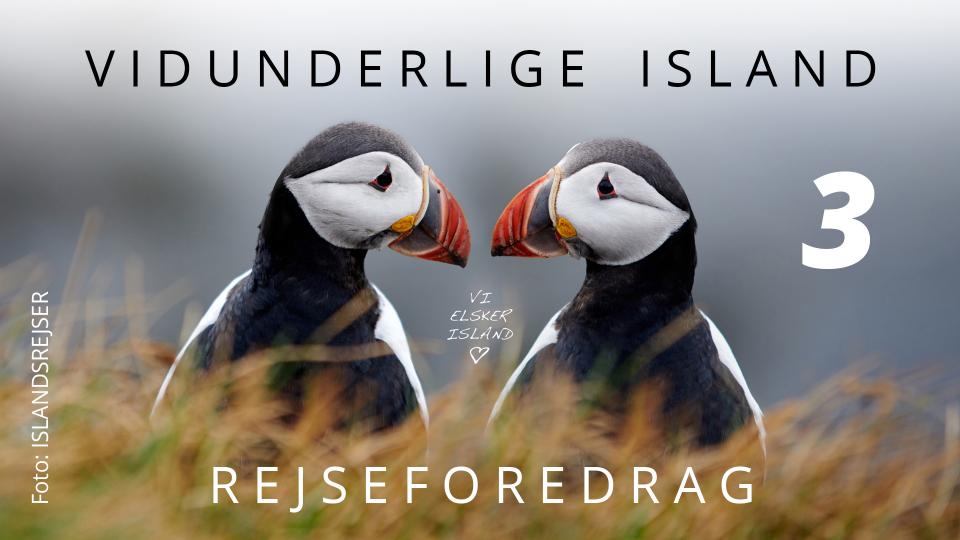 Vidunderlige Island